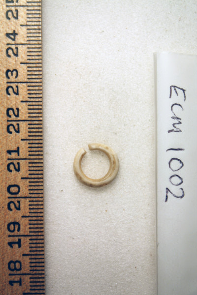 ECM.1002-2010-B image ECM.1002-2010-B