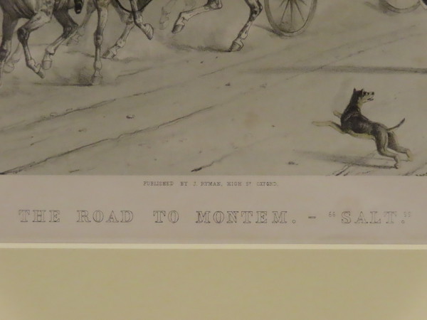 FDA-E.2796-2016-D image FDA-E.2796-2016-D