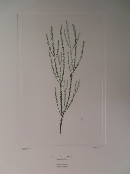 FDA-E.2916_9_21-2016-A image FDA-E.2916_9_21-2016-A