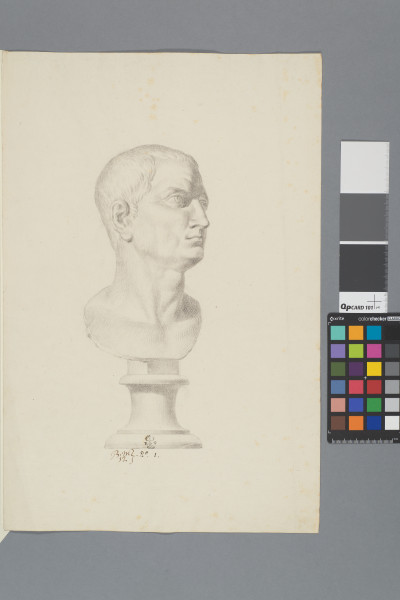 ECL-Bm.12_1-2013 image ECL-Bm.12_1-2013