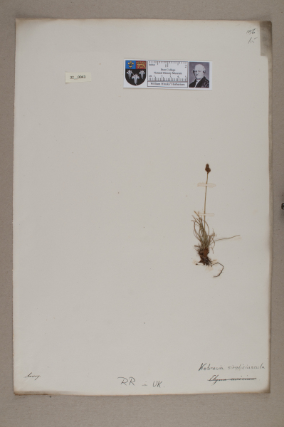 NHM_HH_32.43-2010 image NHM_HH_32.43-2010