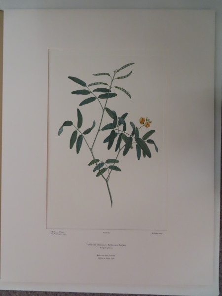 image FDA-E.2916_3_21-2016