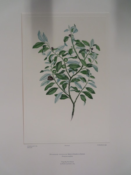 FDA-E.2916_20_14-2016-A image FDA-E.2916_20_14-2016-A