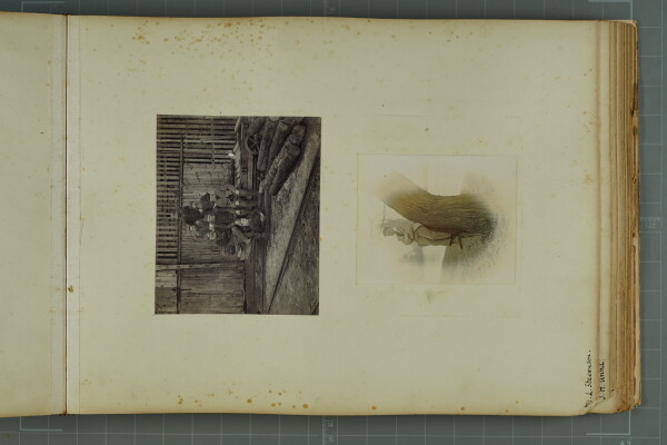 PA-A.81_27-2024 image PA-A.81_27-2024