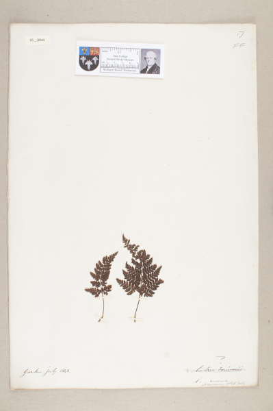 NHM_HH_5.44-2010 image NHM_HH_5.44-2010