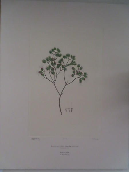 image FDA-E.2916_5_19-2016-A