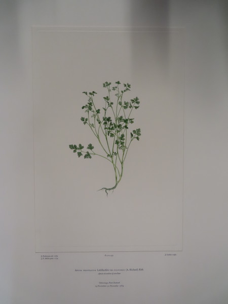 image FDA-E.2916_22_16-2016-A