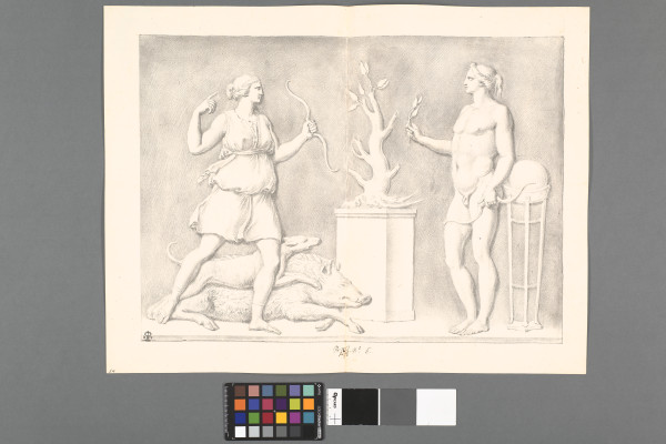 ECL-Bn.1_6-2013-A image ECL-Bn.1_6-2013-A