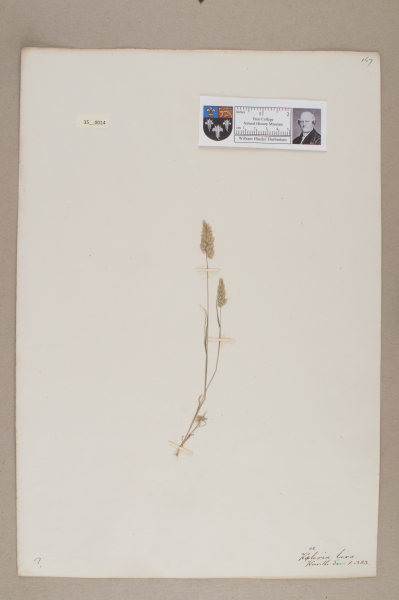 NHM_HH_35.14-2010 image NHM_HH_35.14-2010