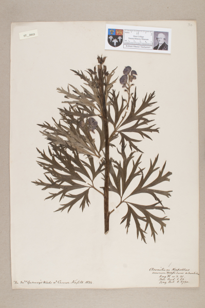 NHM_HH_7.19-2010 image NHM_HH_7.19-2010