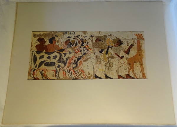 image FDA-E.3055_19-2018