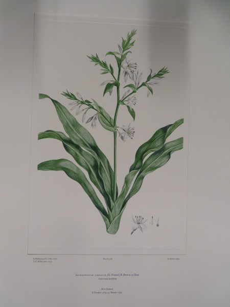 image FDA-E.2916_26_23-2016