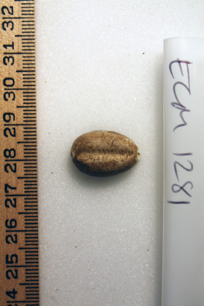 ECM.1281-2010-A image ECM.1281-2010-A