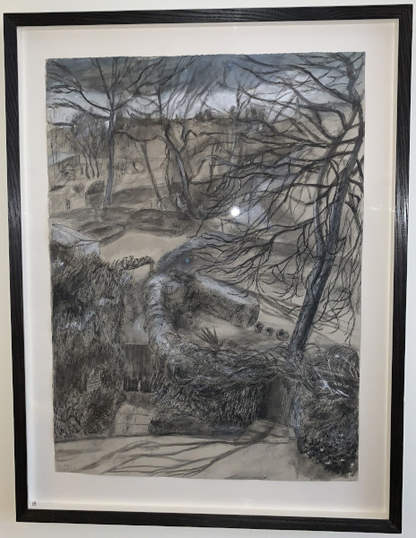 FDA-D.1609-2019 image FDA-D.1609-2019