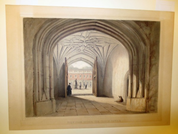 FDA-E.2356-2015 image FDA-E.2356-2015