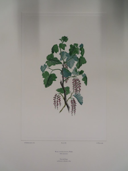 image FDA-E.2916_32_16-2016