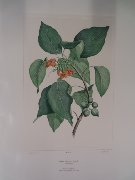 FDA-E.2916_29_20-2016 image FDA-E.2916_29_20-2016