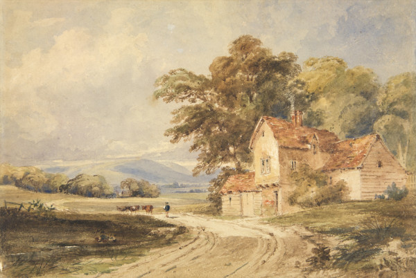 FDA-D.244-2010 image FDA-D.244-2010