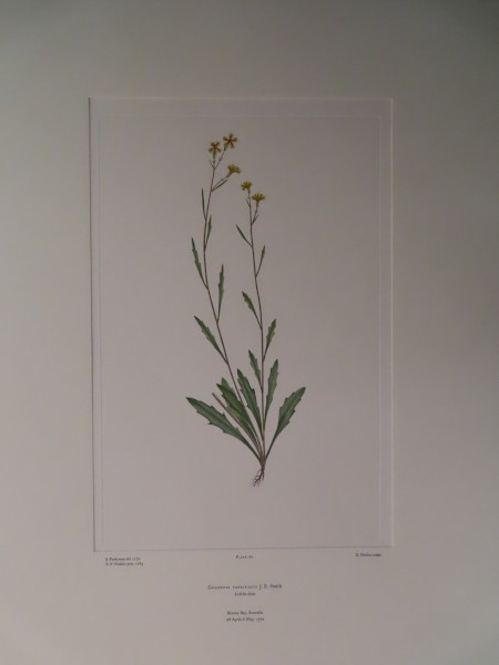 image FDA-E.2916_9_4-2016