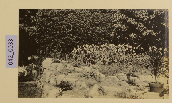 PA-A.42_33-2013 image PA-A.42_33-2013