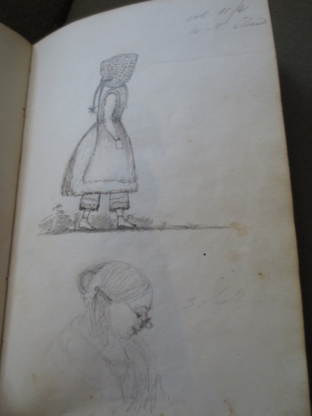 FDA-V.3-2016-Z image FDA-V.3-2016-Z