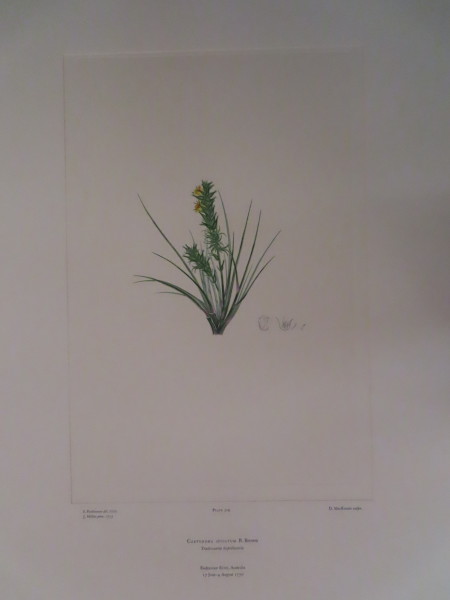 FDA-E.2916_15_17-2016 image FDA-E.2916_15_17-2016