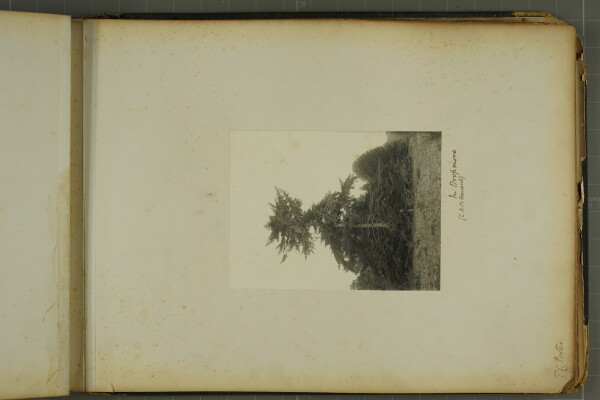 PA-A.82_23-2024 image PA-A.82_23-2024