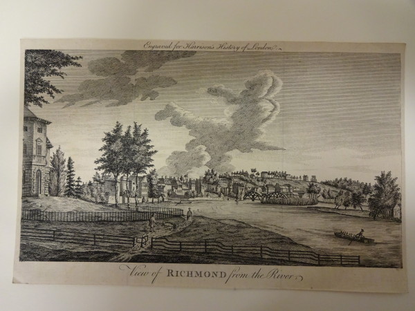 FDA-E.315-2010 image FDA-E.315-2010