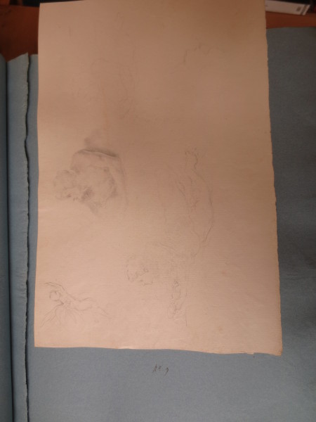 ECL-Bm.13_9-2013-B image ECL-Bm.13_9-2013-B