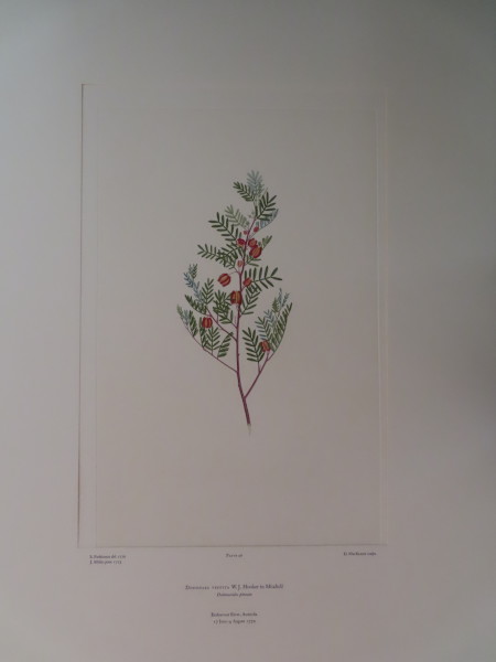 FDA-E.2916_3_4-2016-A image FDA-E.2916_3_4-2016-A