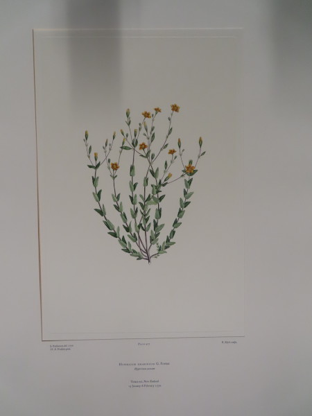 FDA-E.2916_20_19-2016-A image FDA-E.2916_20_19-2016-A