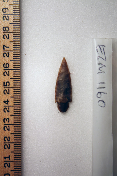 ECM.1160-2010-A image ECM.1160-2010-A