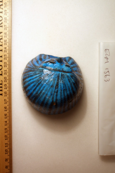 ECM.1563-2010-B image ECM.1563-2010-B