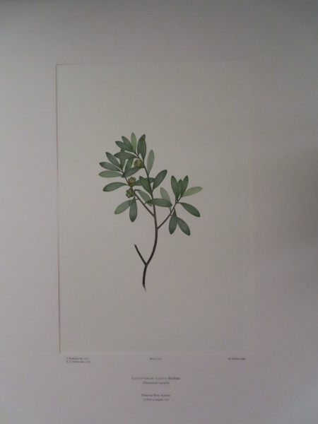 image FDA-E.2916_5_23-2016