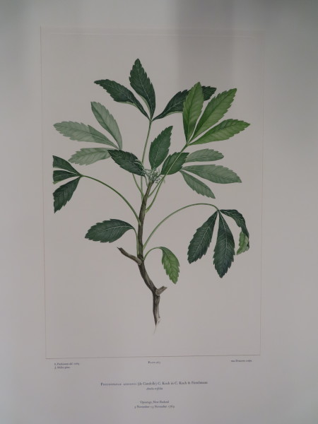 image FDA-E.2916_22_20-2016