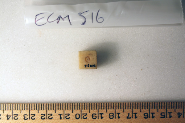 ECM.516-2010-A image ECM.516-2010-A