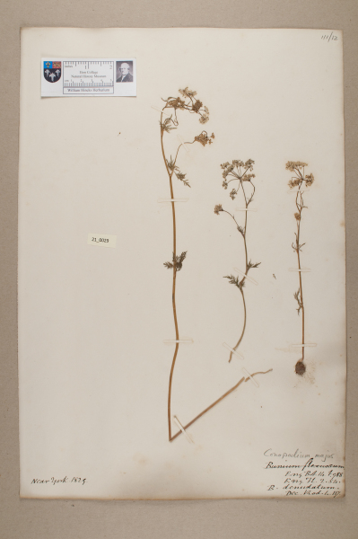 NHM_HH_21.29-2010 image NHM_HH_21.29-2010