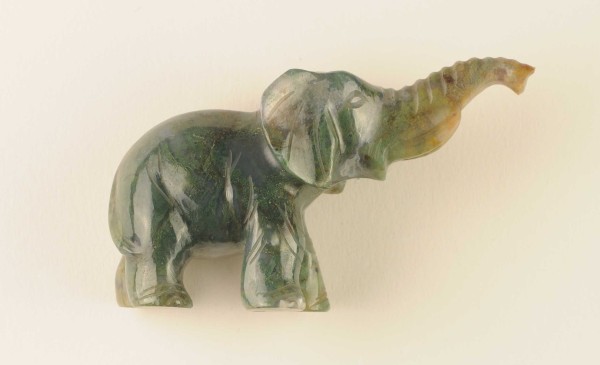 NHM-EE.109-2015 image NHM-EE.109-2015