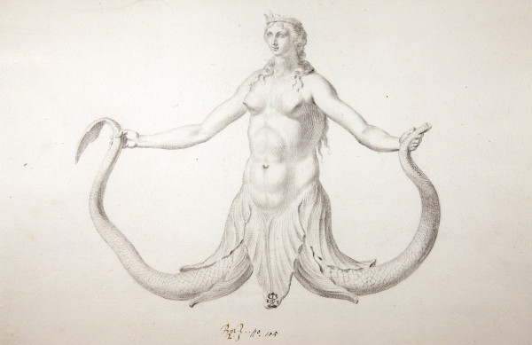 ECL-Bn.2_105-2013-A image ECL-Bn.2_105-2013-A