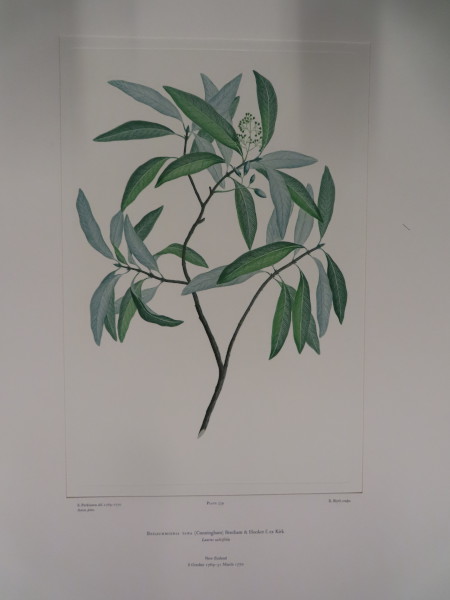 image FDA-E.2916_26_4-2016