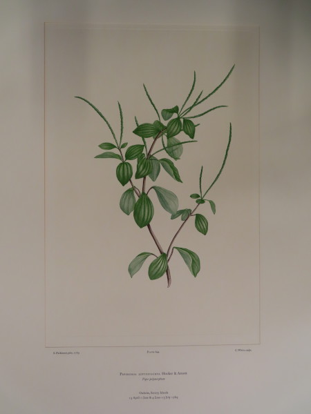 FDA-E.2916_30_19-2016 image FDA-E.2916_30_19-2016