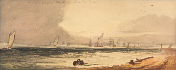 FDA-D.415-2010 image FDA-D.415-2010