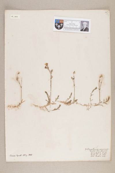 NHM_HH_9.32-2010 image NHM_HH_9.32-2010