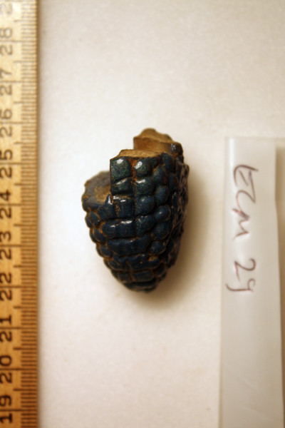 ECM.29-2010-B image ECM.29-2010-B