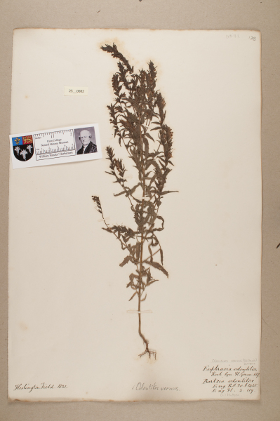 NHM_HH_25.82-2010 image NHM_HH_25.82-2010