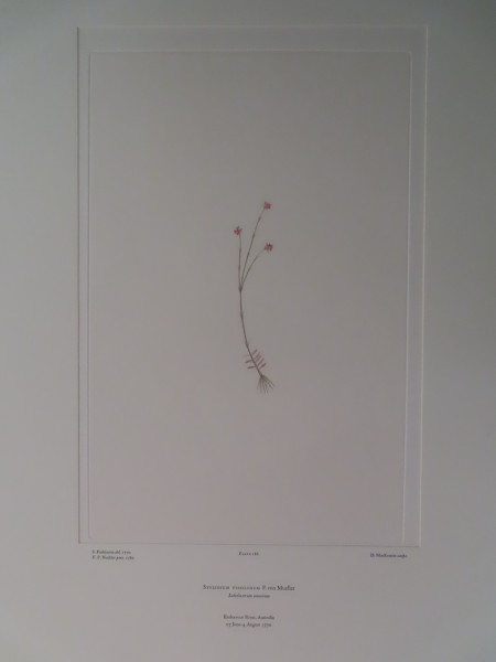 FDA-E.2916_9_9-2016 image FDA-E.2916_9_9-2016