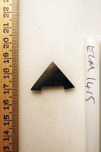 ECM.1415-2010-A image ECM.1415-2010-A