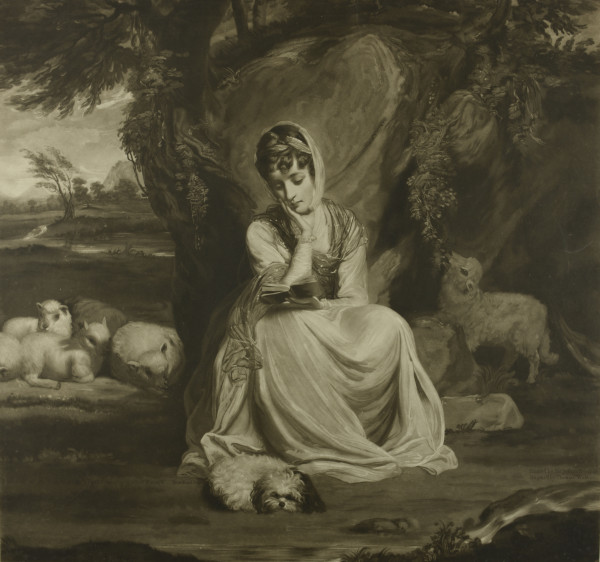 FDA-E.1168-2014 image FDA-E.1168-2014