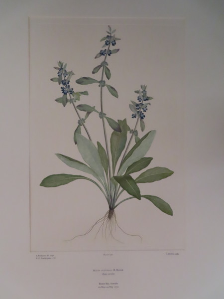 FDA-E.2916_12_14-2016 image FDA-E.2916_12_14-2016