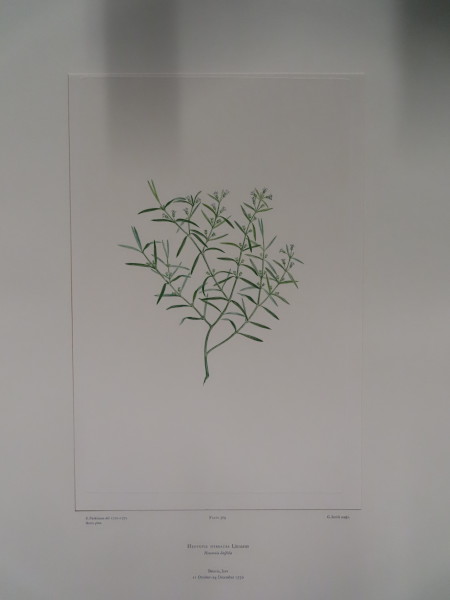 image FDA-E.2916_17_12-2016